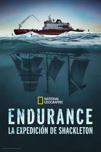Endurance - Posters