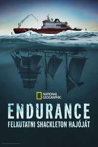 Endurance - Posters