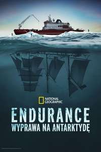 Endurance - Posters