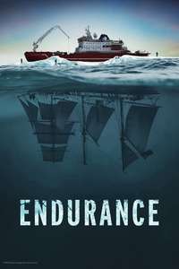 Endurance - Posters