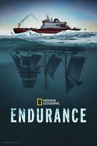 Endurance - Posters