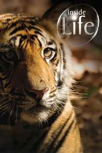 Inside Life - Posters