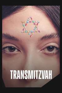 Transmitzvah - Posters