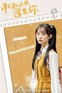 Meeting You - Posters