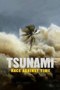 Tsunami: Race Against Time - Posters