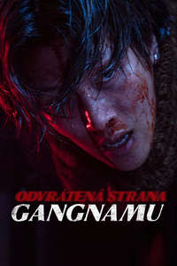 Gangnam B-Side - Posters