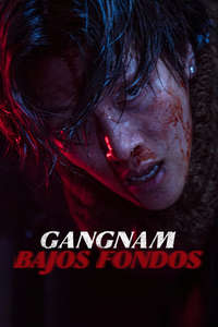 Gangnam B-Side - Posters
