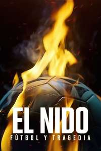 From Dreams to Tragedy: The Fire that Shook Brazilian Football - Posters