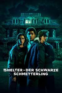 Harlan Coben's Shelter - Posters