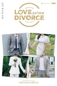 Love After Divorce - Posters