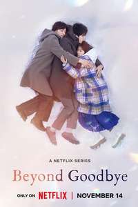 Beyond Goodbye - Posters