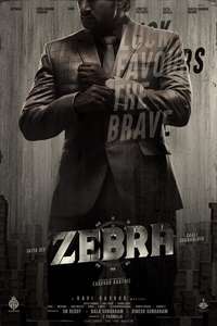 Zebra - Posters