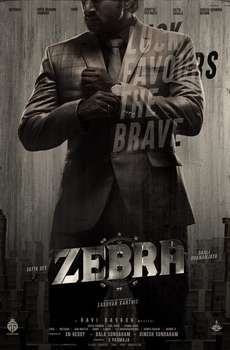 Zebra