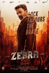 Zebra - Posters