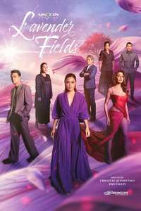 Lavender Fields - Posters