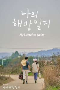 My Liberation Notes - Posters