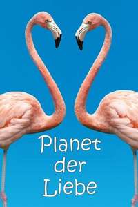 The Mating Game - Posters