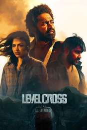 Level Cross