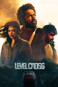 Level Cross - Posters