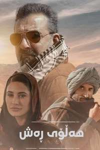 Torbaaz - Posters