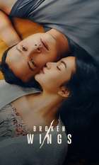 Broken Wings