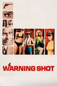 Warning Shot - Posters