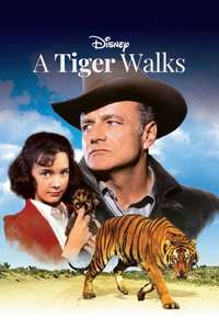 A Tiger Walks - Posters