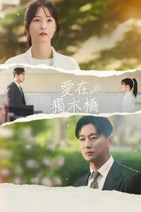 Love Your Enemy - Posters