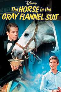 The Horse in the Gray Flannel Suit - Posters
