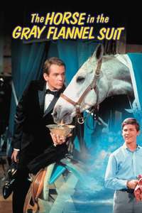 The Horse in the Gray Flannel Suit - Posters