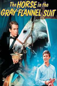 The Horse in the Gray Flannel Suit - Posters