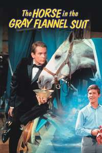 The Horse in the Gray Flannel Suit - Posters