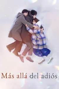 Beyond Goodbye - Posters