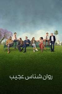 Shrinking - Posters