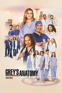 Grey's Anatomy - Posters