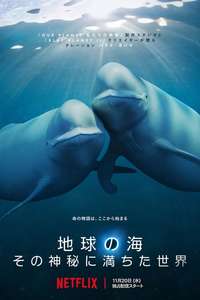 Our Oceans - Posters