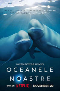 Our Oceans - Posters