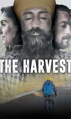 The Harvest