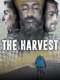 The Harvest