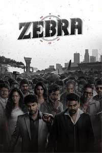 Zebra - Posters