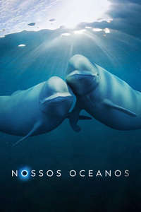 Our Oceans - Posters