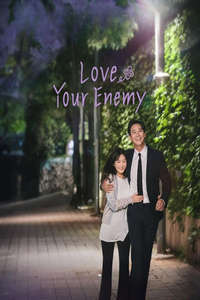 Love Your Enemy - Posters