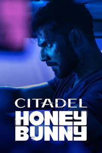 Citadel: Honey Bunny - Posters