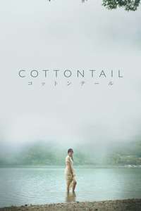 Cottontail - Posters