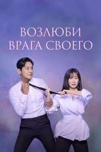Love Your Enemy - Posters