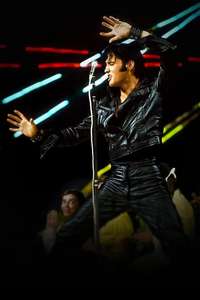 Return of the King: The Fall and Rise of Elvis Presley - Posters