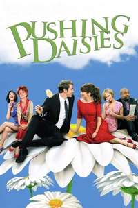 Pushing Daisies - Posters