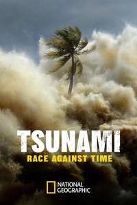 Tsunami: Race Against Time - Posters
