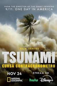 Tsunami: Race Against Time - Posters