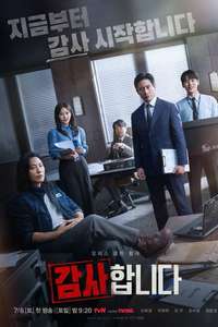 The Auditors - Posters